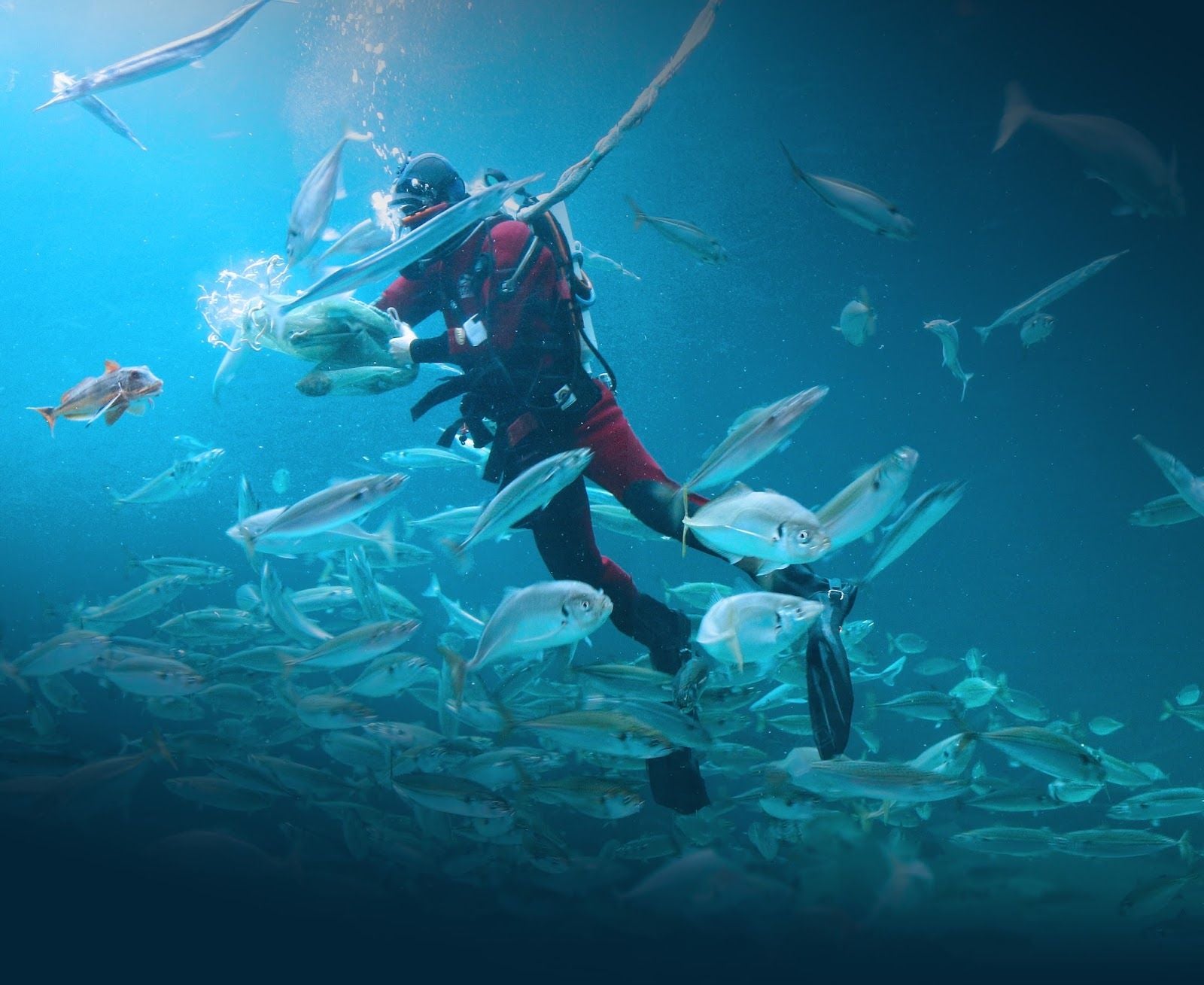 The North Sea Oceanarium