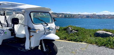 A Coruña: Premium Tuk Tuk tour