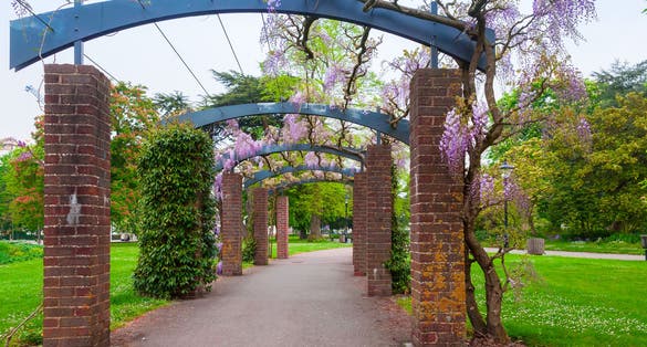 photo of view of Outdoor arcade with blooming flowers. East Park of Southampton, United Kingdom