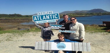 Oyster Farm and Tasting Experience