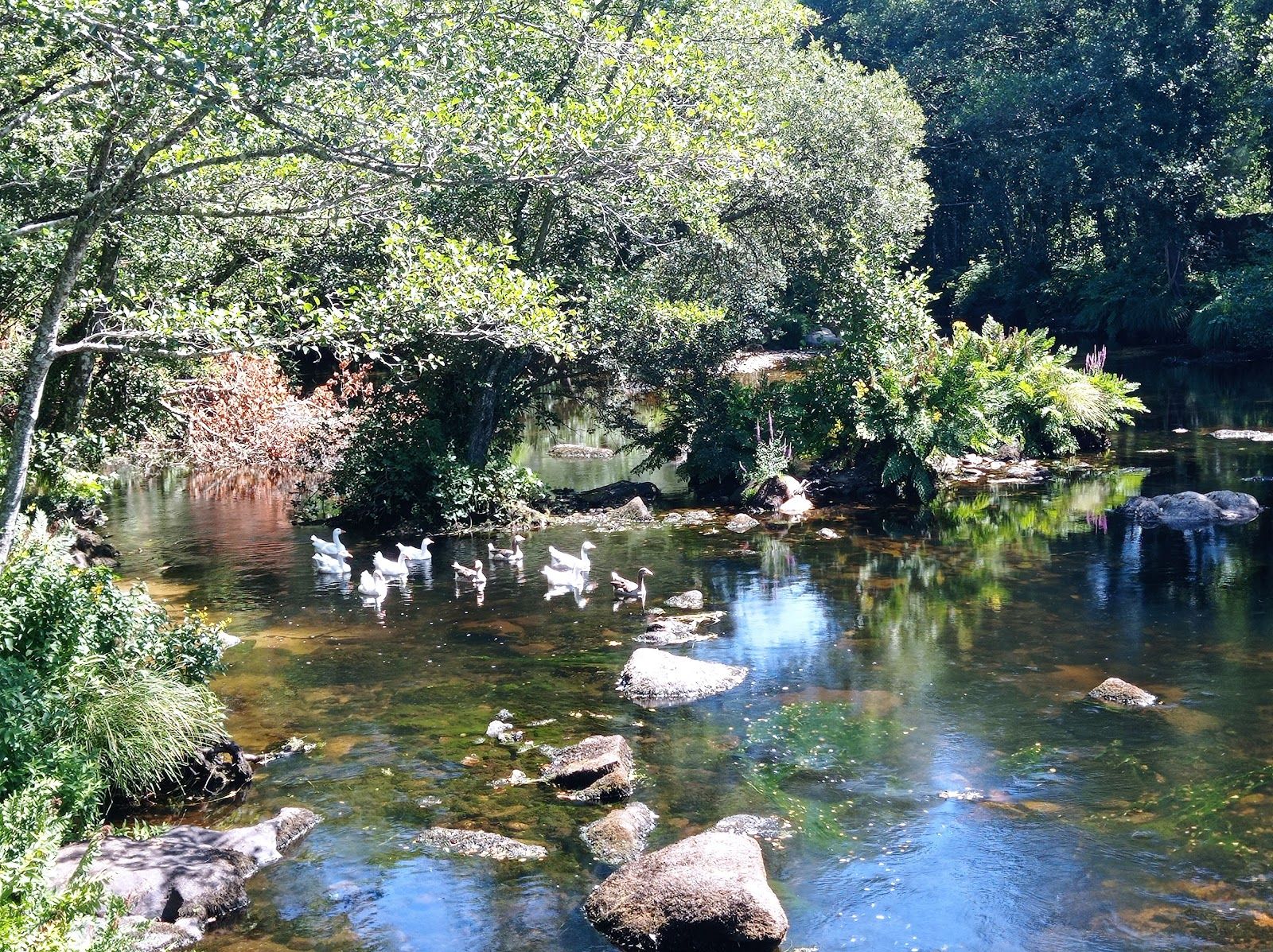 LIC Parga-Ladra-Támoga, Orbazai, Lugo, Galicia, Spain