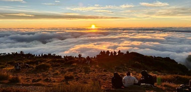 Madeira: Sunrise Hike Transfer to Pico do Arieiro (PR1)