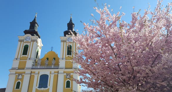 Photo of Székesfehérvár , Hungary .