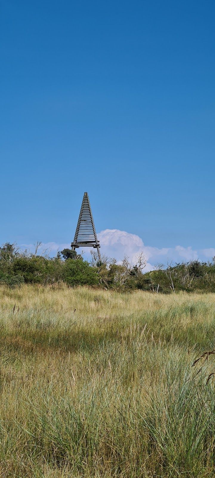 Kobbeduinen, Schiermonnikoog, Friesland, Netherlands