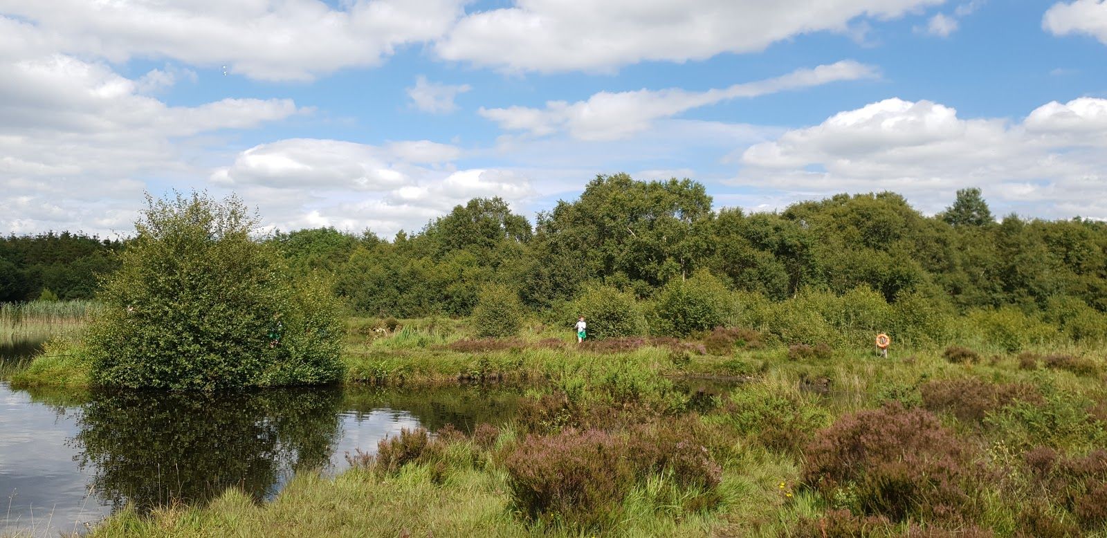 Ballynafagh Lake, Ballynafagh, Timahoe North ED, The Municipal District of Clane — Maynooth, County Kildare, Leinster, Ireland