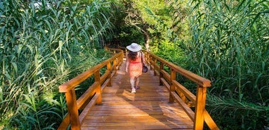 Full-Day Tour from Split: Krka National Park with Boat Cruise and Swimming