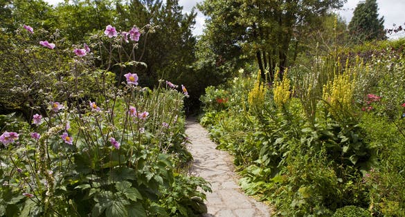 Photo of the beautiful Chalice Well Gardens in Glastonbury, UK.