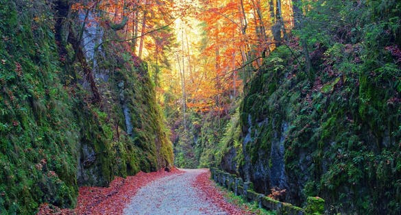 Photo of old passing road in romanian Carpathians Mountains called Cheile Dambovicioarei - touristic attraction in Dambovicioara village, Romania.