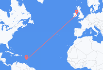 세인트 루시아 더블린으로