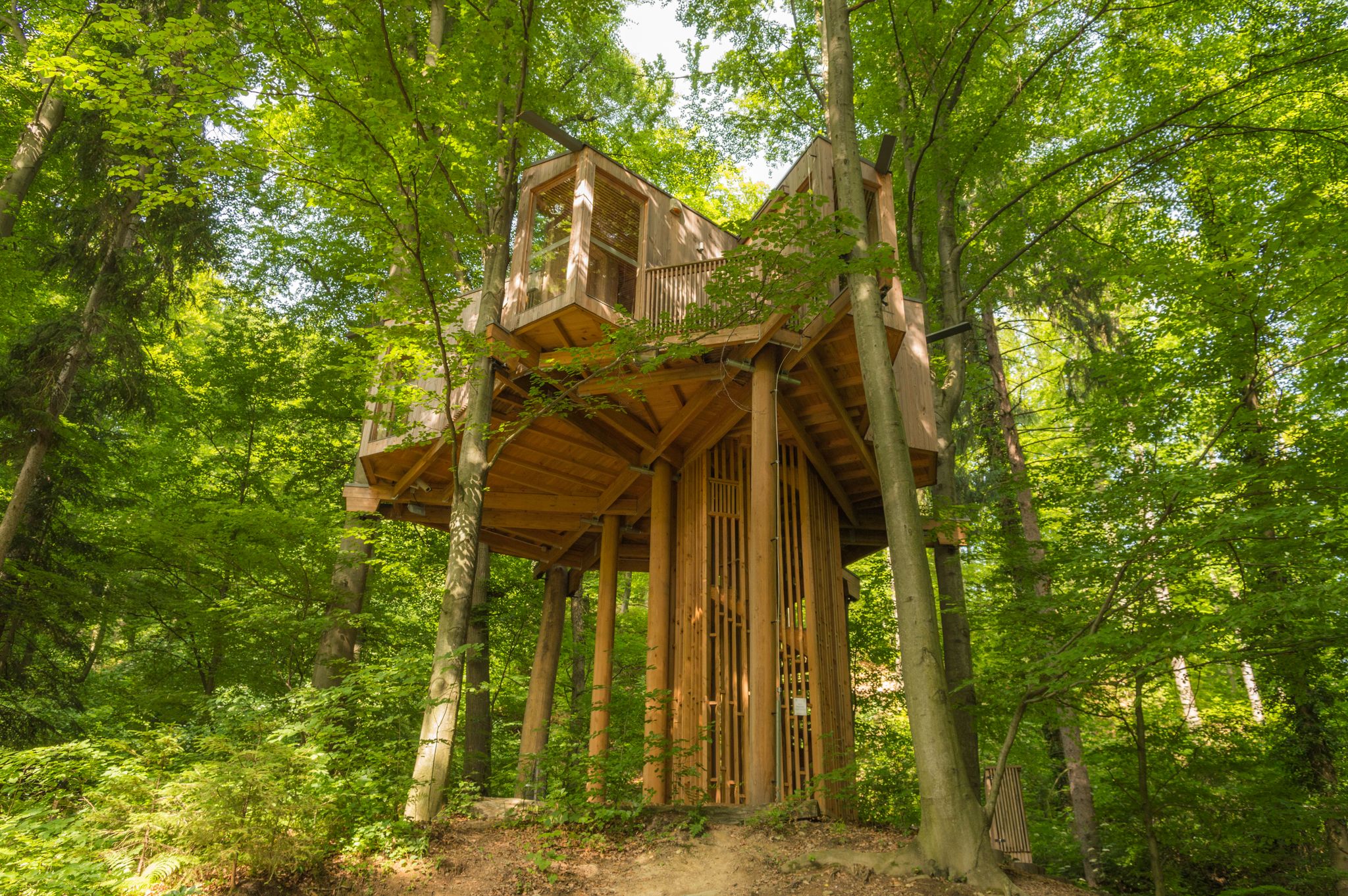 Modern tree house located in Celje town forest (Slovenia) near hiking path.