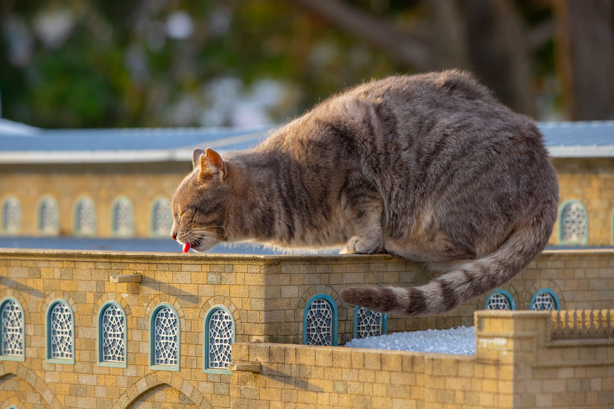  Miniatürk or Miniature Turkey Park is established in an area of 60,000 square meters in Beyoğlu, Istanbul, where models of various works in Turkey are exhibited.