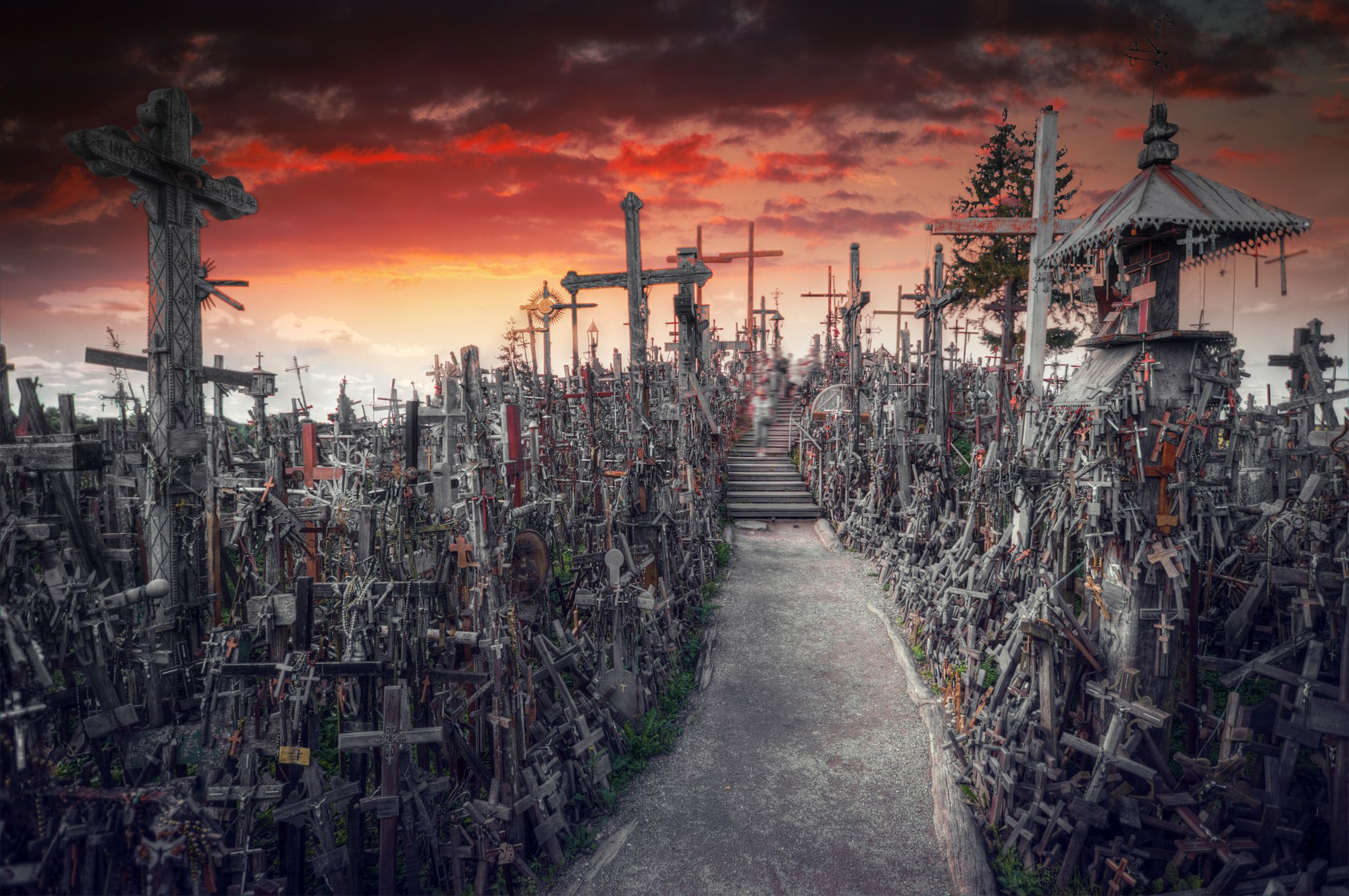 photo of the hill of crosses , a famous site of pilgrimage in northern Lithuania.