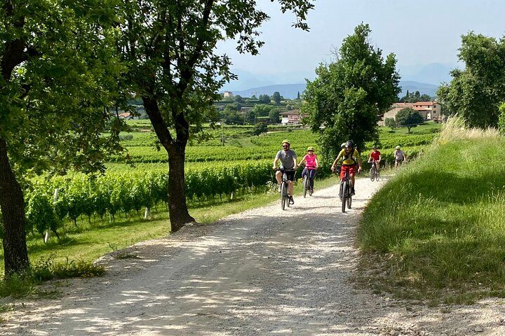E Bike Tour with Olive Oil Tasting from San Felice del Benaco