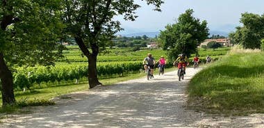 E Bike Tour with Olive Oil Tasting from San Felice del Benaco