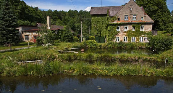 An overgrown house in Peklo at the river Zdobnice, Hradec Králové Region, Czech Republic, Europe