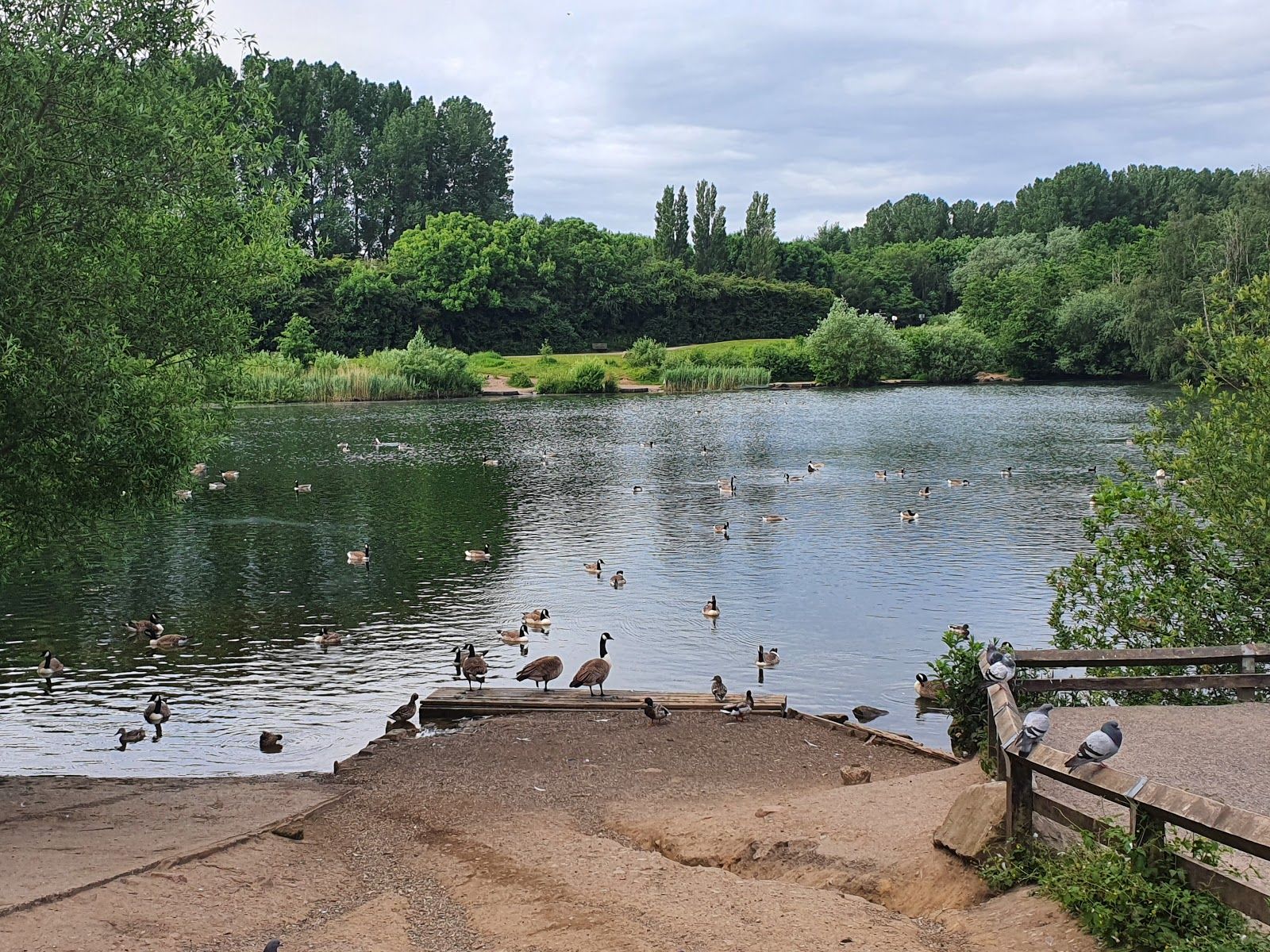 Chorlton Water Park, Manchester, Greater Manchester, North West England, England, United Kingdom