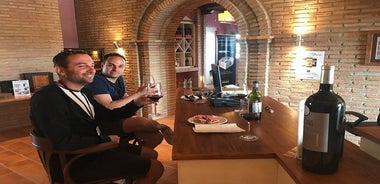 Haft-day Winery tour from Zaragoza