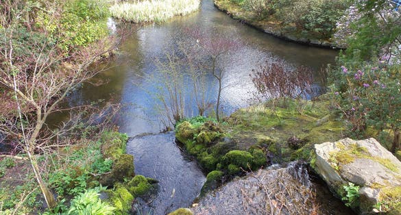Photo of Johnstone Gardens Aberdeen April 2018 .Scotland .