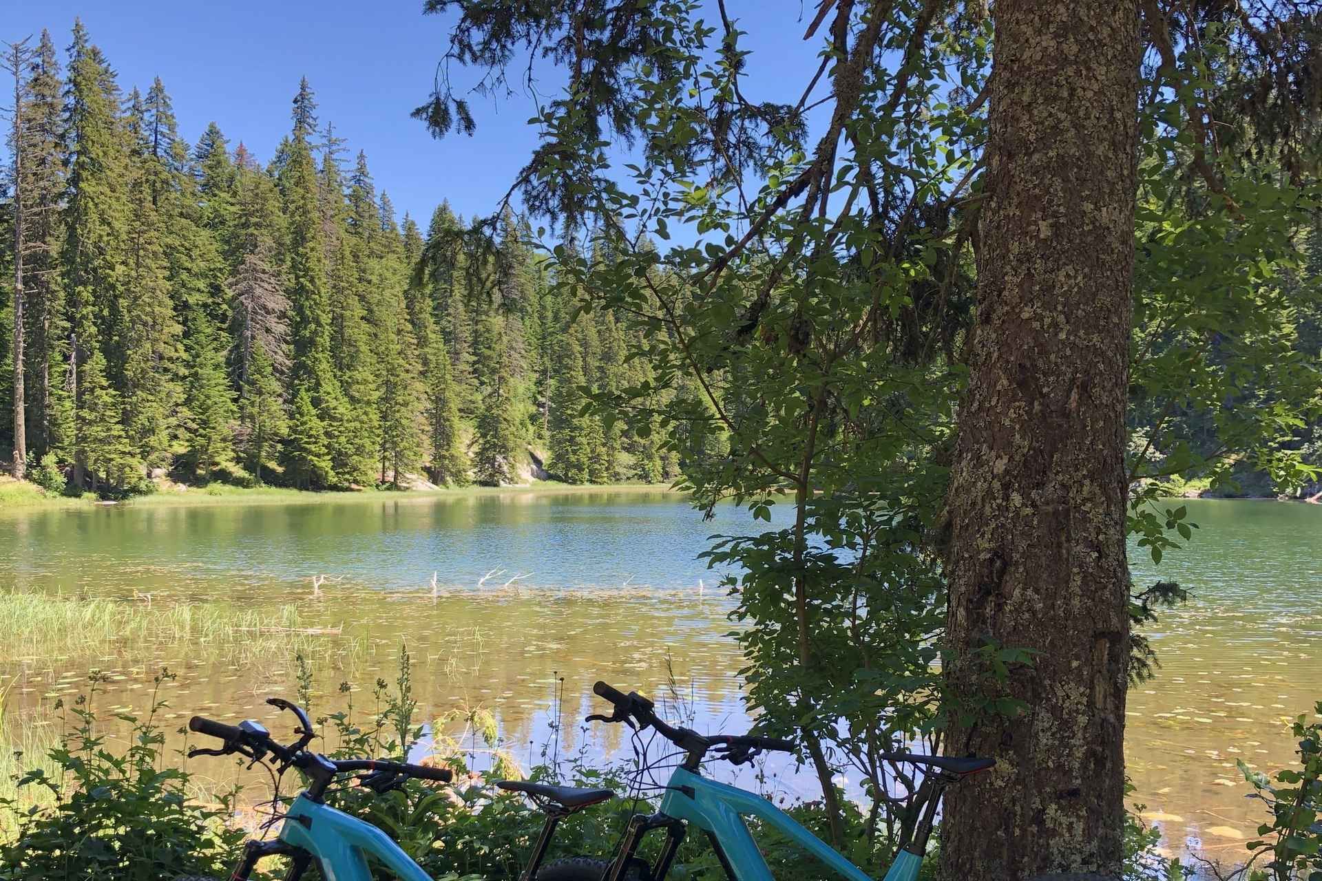 2 Viewpoints E-bike tour