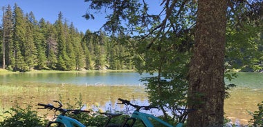 2 Viewpoints E-bike tour