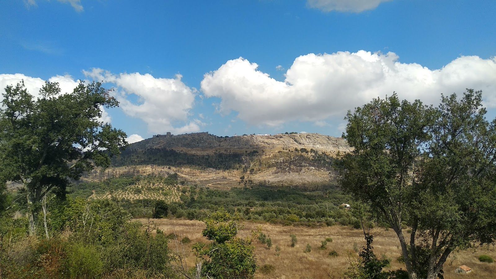 Parque Natural da Serra de São Mamede, Sé, Sé e São Lourenço, Portalegre, Alto Alentejo, Alentejo Region, Portugal