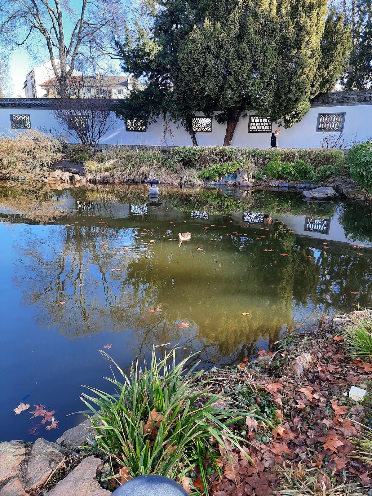 Bethmann Park, Nordend Ost, Innenstadt 3, Frankfurt, Hesse, Germany