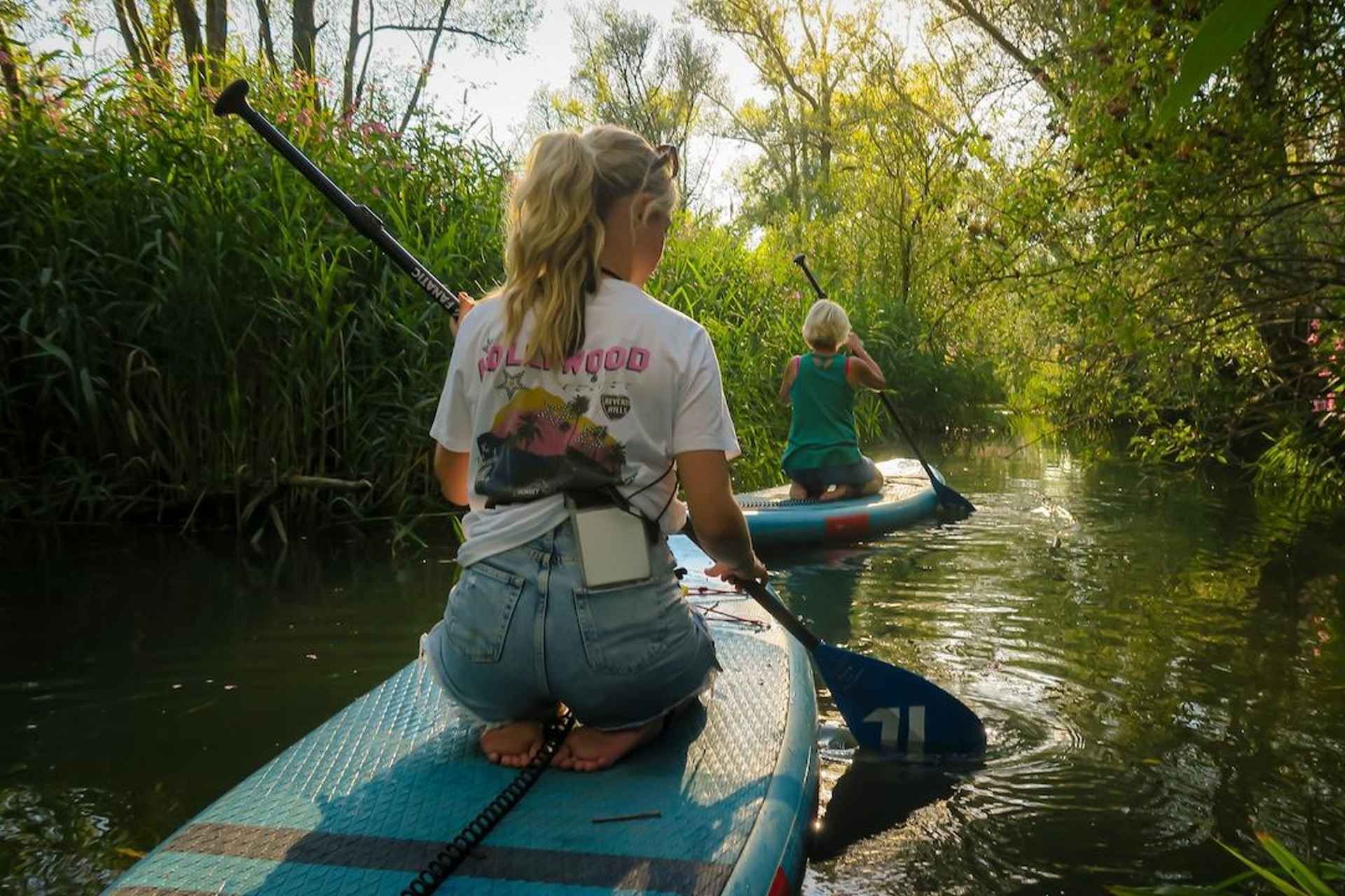 Biesbosch: SUP Board Rental
