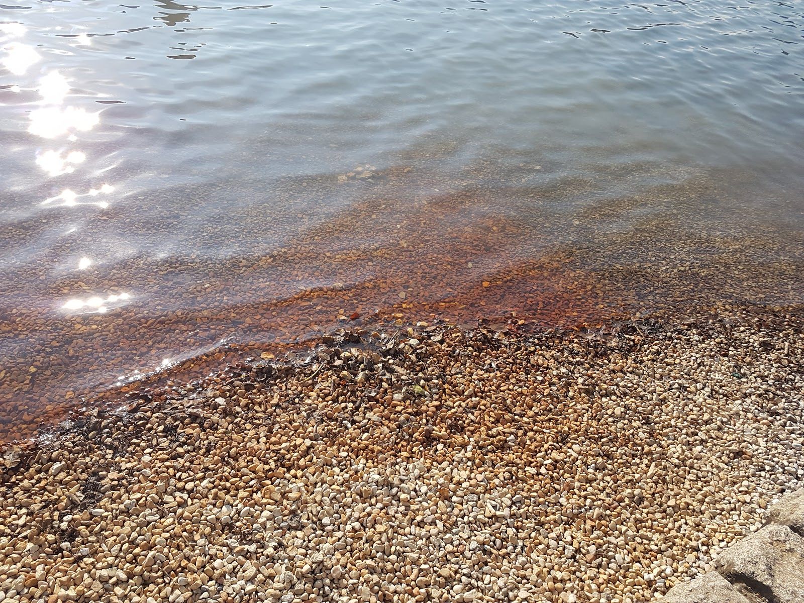 Spiaggia pubblica di Levico, Levico Terme, Comunità Alta Valsugana e Bersntol, Provincia di Trento, Trentino-Alto Adige/Südtirol, Italy