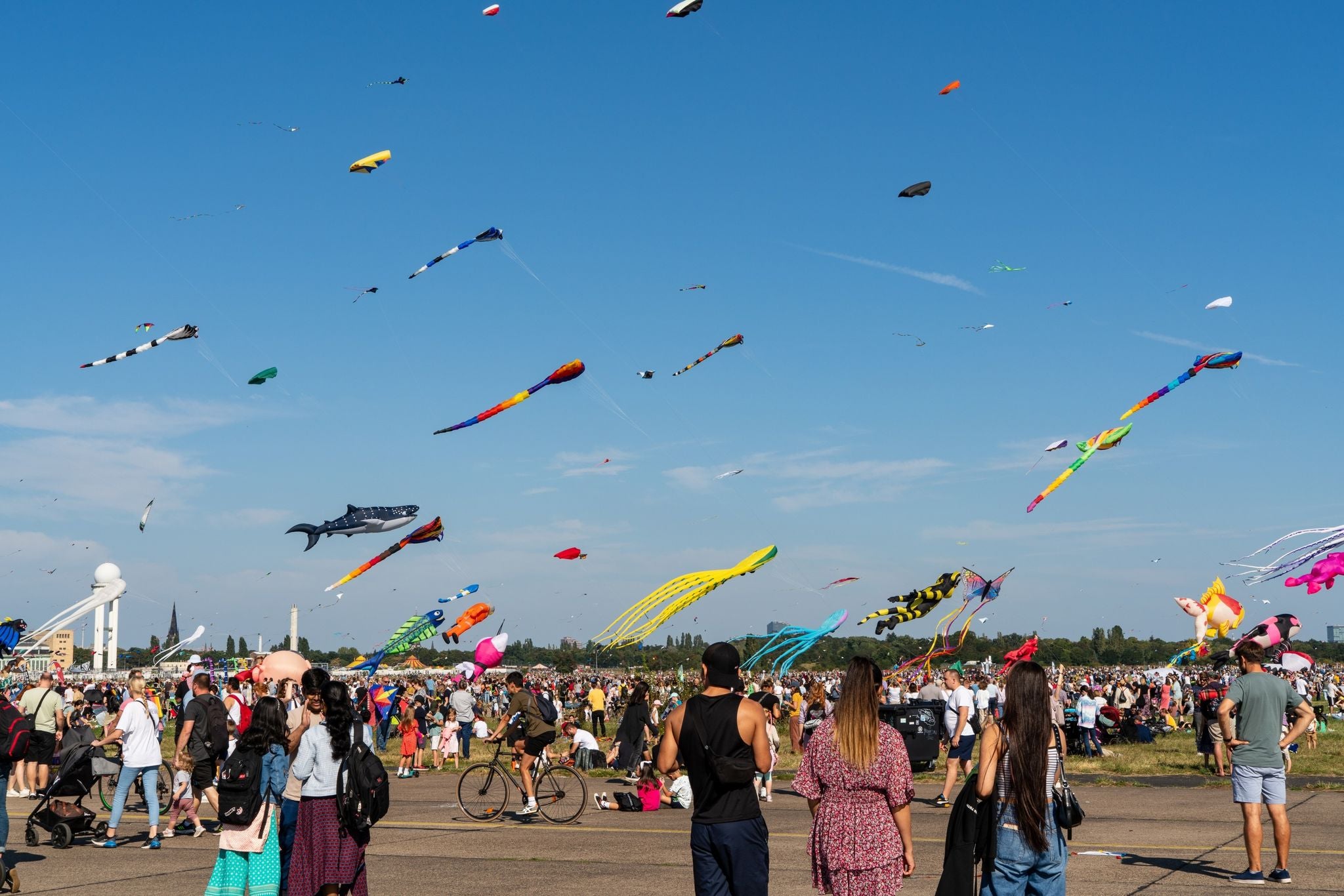 shutterstock_2363055859 (1).jpg