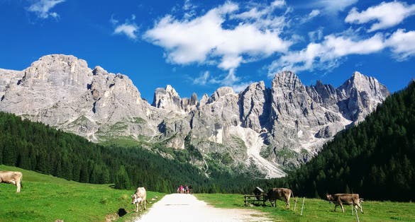 photo of view of The Pale of San Martino group view from Malga Venegia in the Dolomites., Primiero San Martino di Castrozza, Italy.