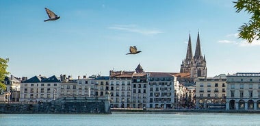 Electric Scooter Excursion with Tapas Aperitif