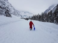Sledding tours
