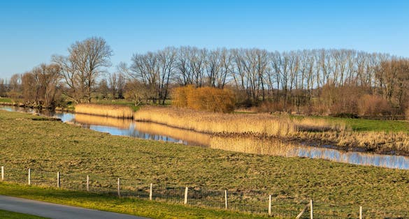 Wedel, Germany, near Hamburg. Meadows behind the dyke of the river Elbe close to Schulau on a sunny winter day.