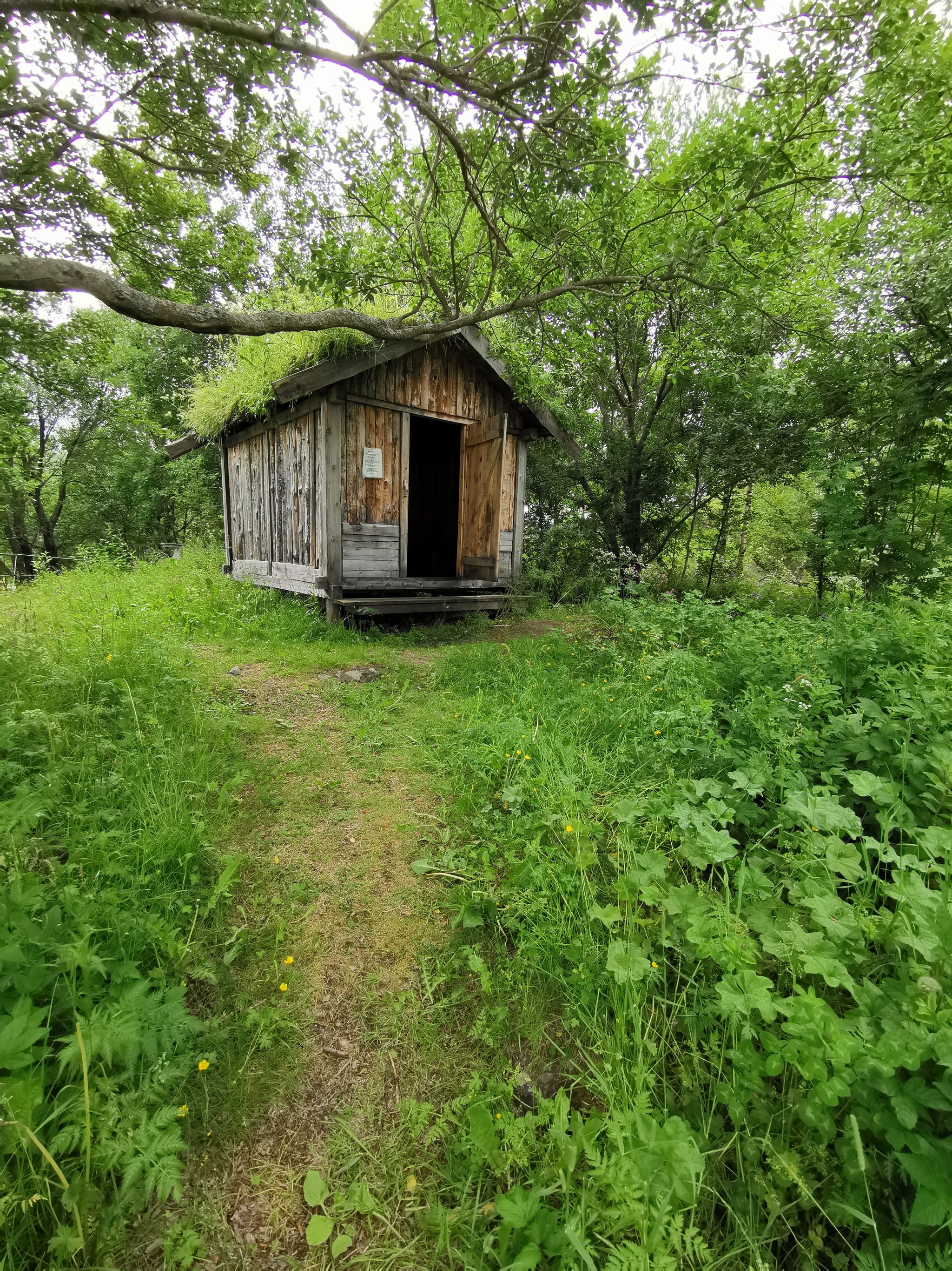 Kjerringøy Bodø Historical Trading Post Helgeland Northern Norway Flowers and nature