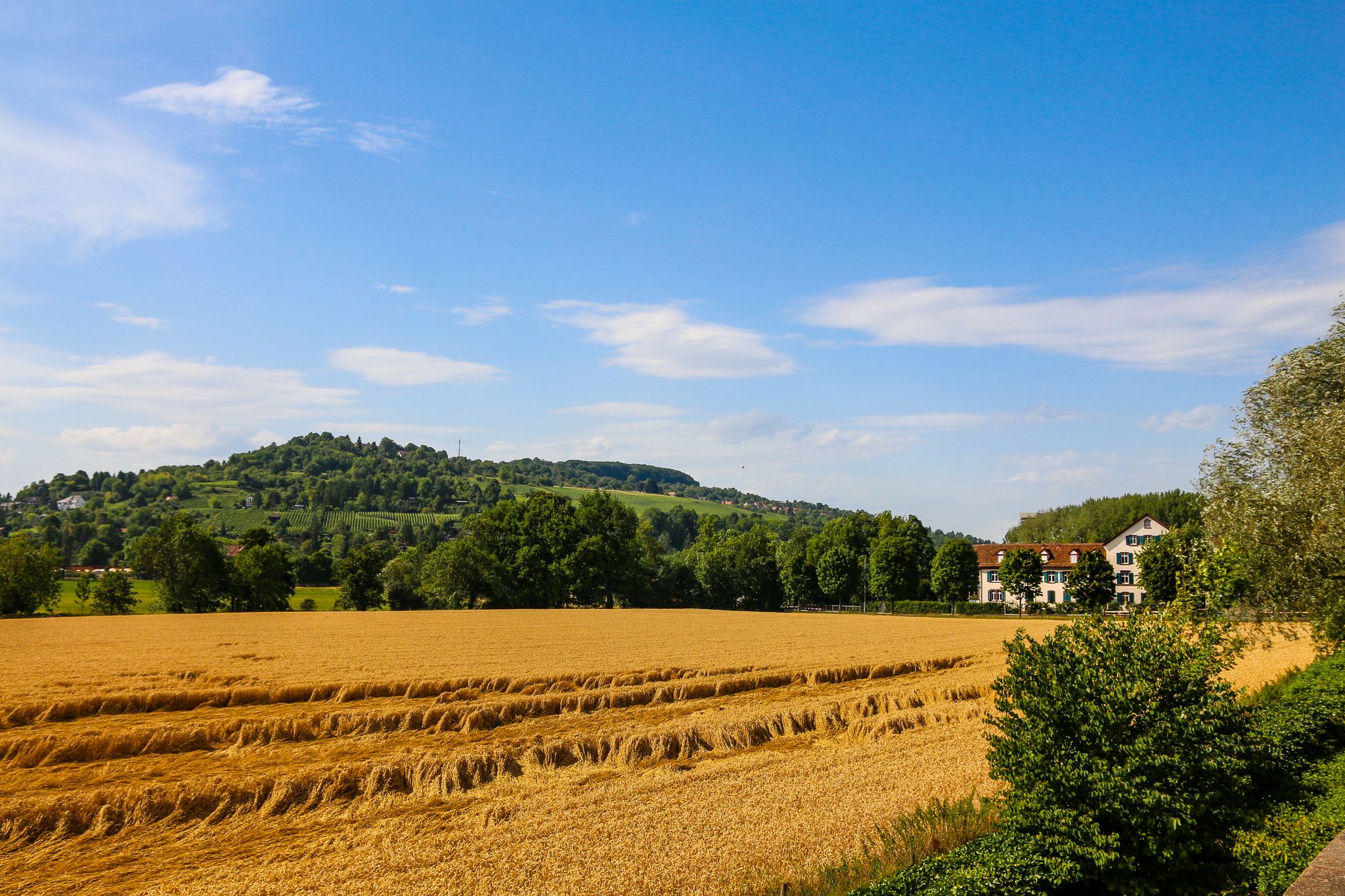 Photo of  beautiful landscape in Fondation Beyeler, Basel, Switzerland.