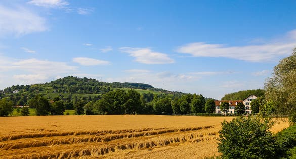 Photo of  beautiful landscape in Fondation Beyeler, Basel, Switzerland.