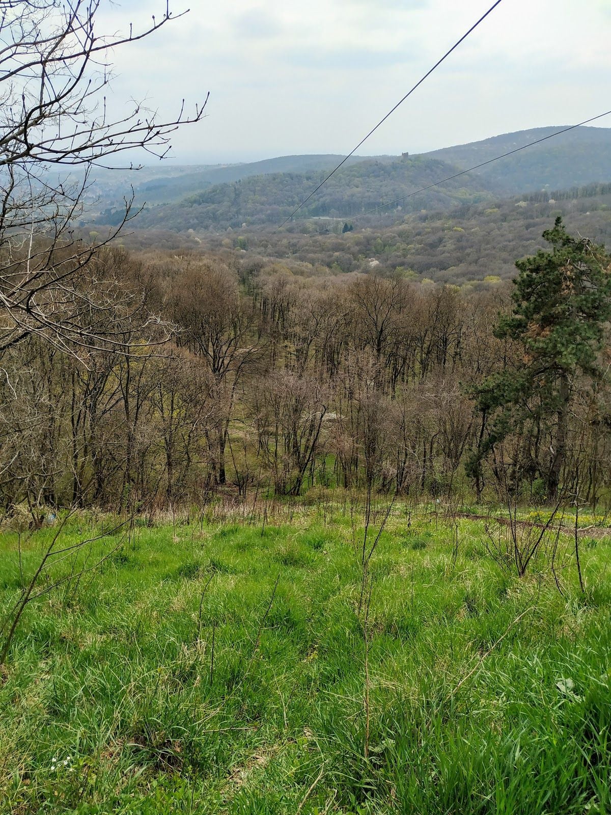 Змајевац, Раковац, Beocin Municipality, South Backa Administrative District, Vojvodina, Serbia