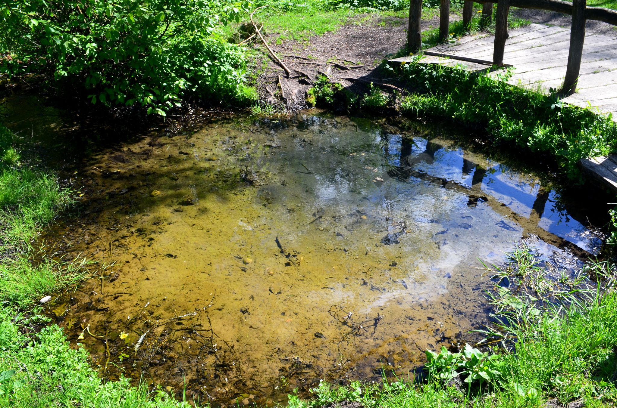 Ūlos akis Mančiagirė Lithuania.