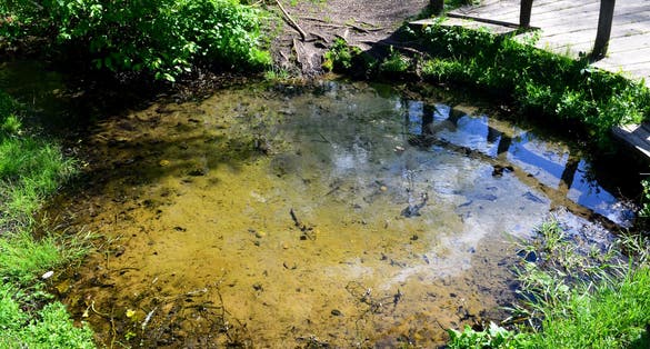 Ūlos akis Mančiagirė Lithuania.