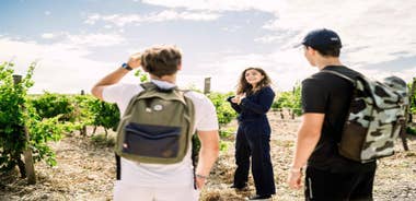 Guided Tour of the Estate & Tasting of 4 wines