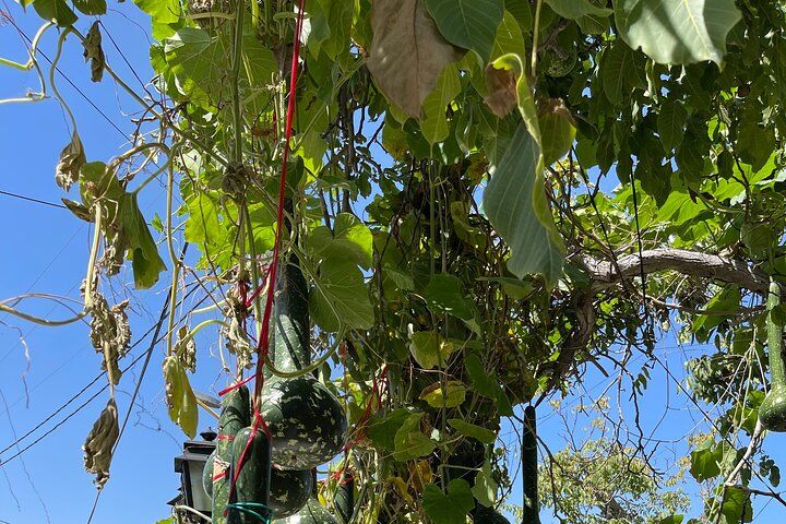  Knossos-Zeus’s Birthplace-Traditional Villages-Olive Oil Factory