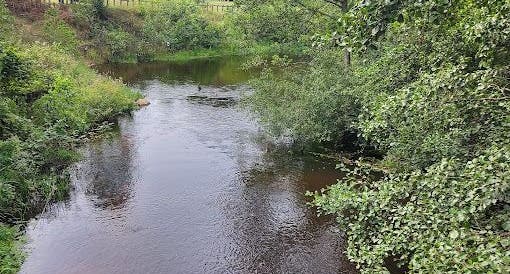 Ūlos akis Mančiagirė Lithuania.