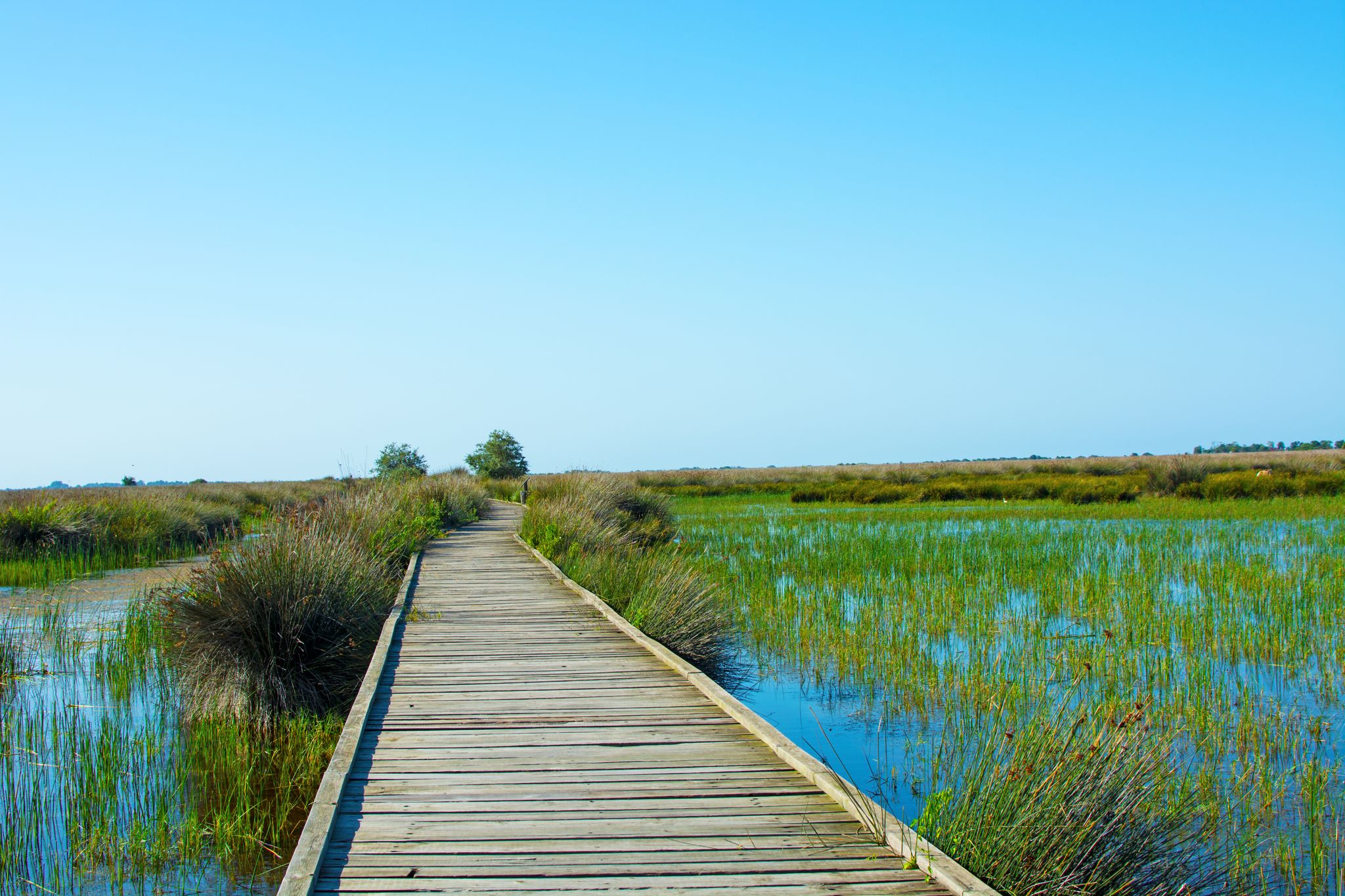 Photo of city and beach view taken by drone from Atakum district of Kurupelit Yat Limanı Samsun.