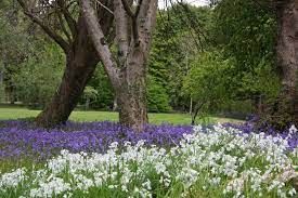 photo of John F Kennedy Arboretum .