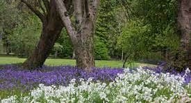 photo of John F Kennedy Arboretum .