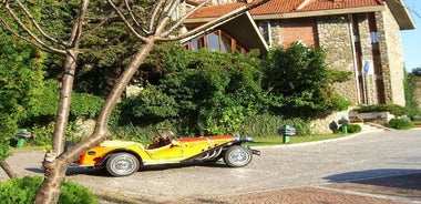 Professional Photo Session with a Retro Car