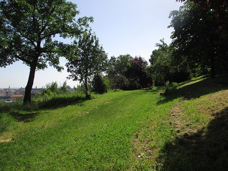 photo of view of Nature on Gellért Hill, Budapest, Hungary.