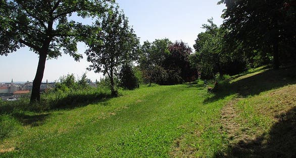 photo of view of Nature on Gellért Hill, Budapest, Hungary.