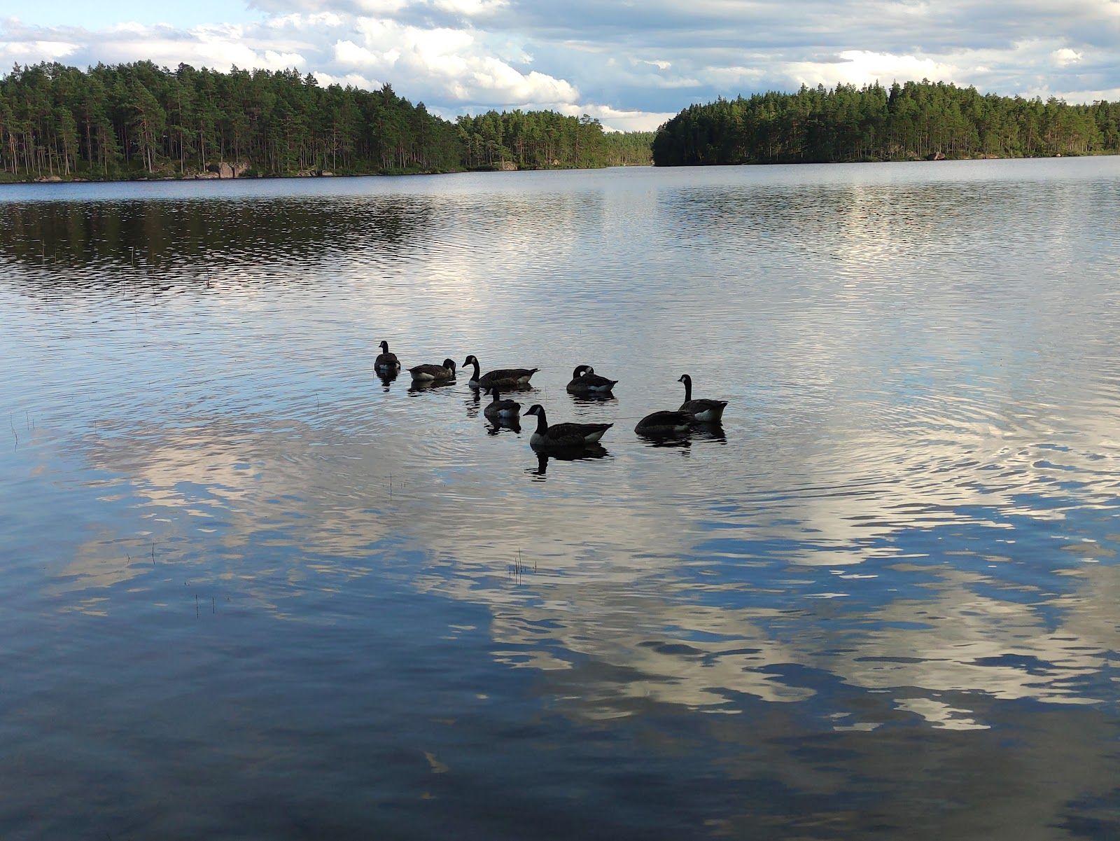 Stora Hammarsjöns badplats, Hultsfreds kommun, Kalmar County, Sweden