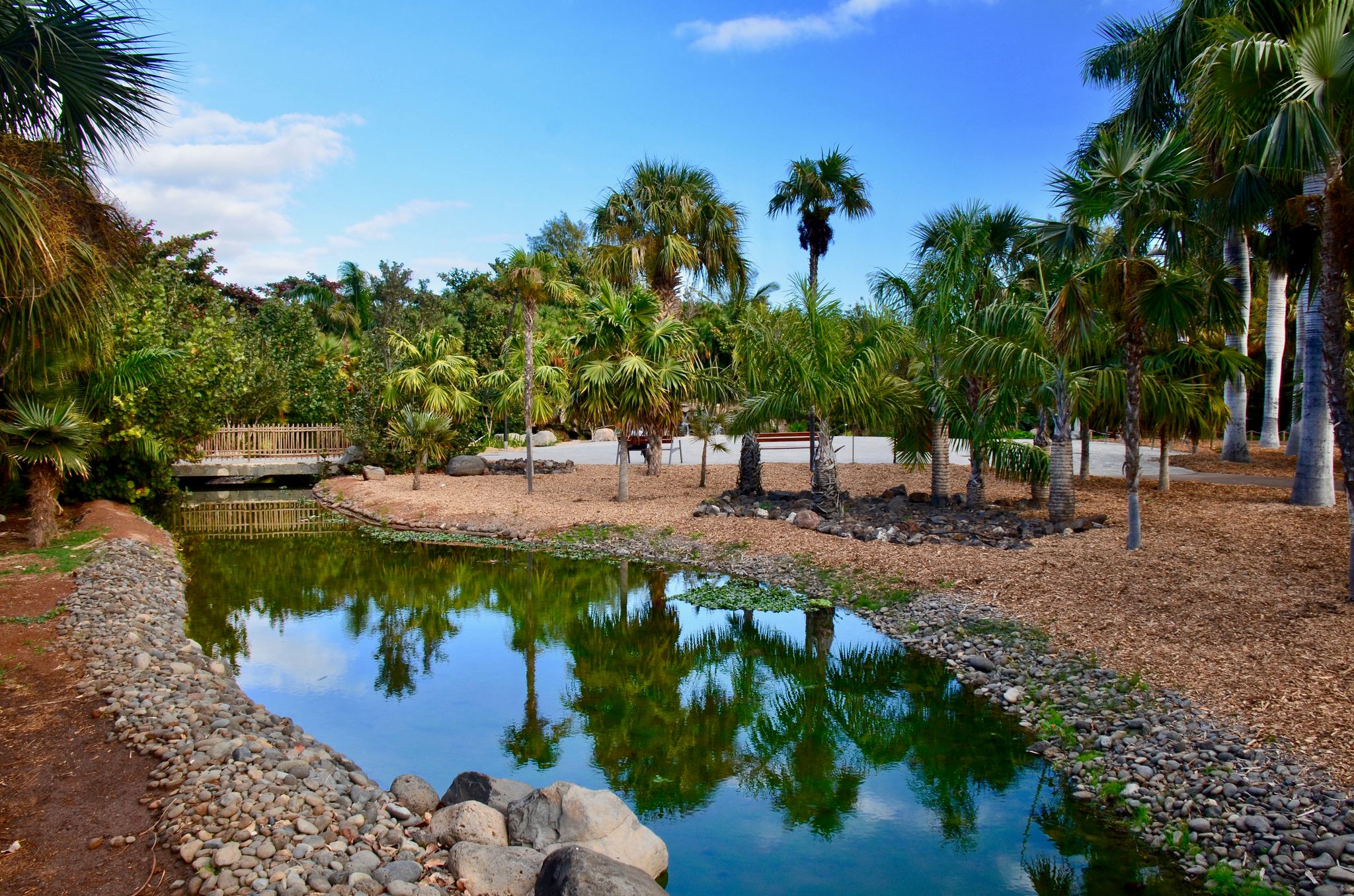 photo of Palmetum park in Tenerife, Spain.